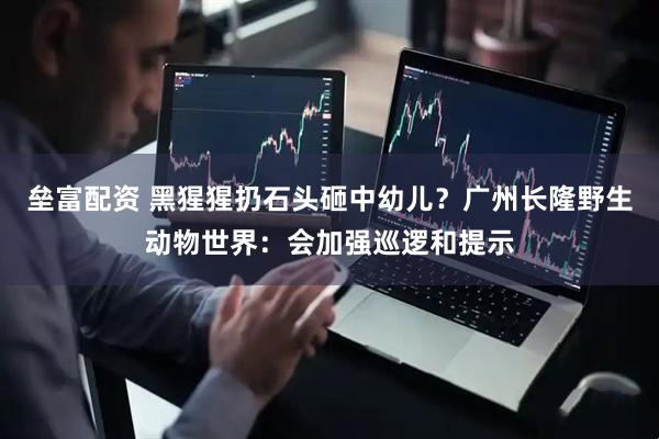 垒富配资 黑猩猩扔石头砸中幼儿？广州长隆野生动物世界：会加强巡逻和提示