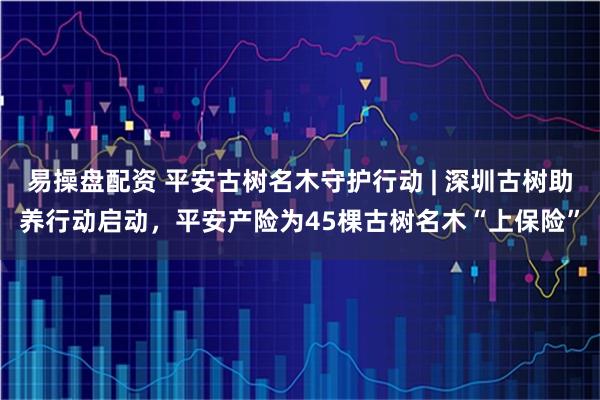 易操盘配资 平安古树名木守护行动 | 深圳古树助养行动启动，平安产险为45棵古树名木“上保险”