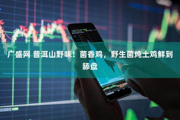 广盛网 普洱山野味！菌香鸡，野生菌炖土鸡鲜到舔盘
