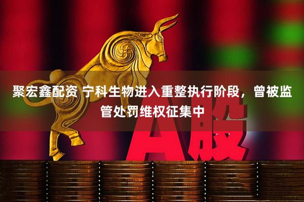 聚宏鑫配资 宁科生物进入重整执行阶段，曾被监管处罚维权征集中